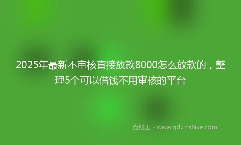 2025年最新不审核直接放款8000怎么放款的，整理5个可以借钱不用审核的平台