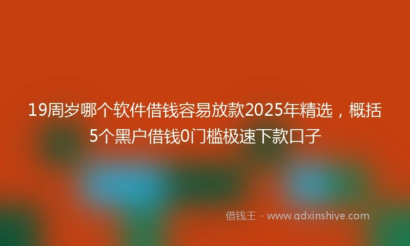19周岁哪个软件借钱容易放款2025年精选，概括5个黑户借钱0门槛极速下款口子