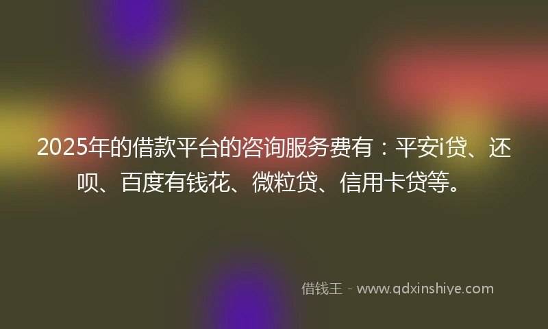 2025年的借款平台的咨询服务费有：平安i贷、还呗、百度有钱花、微粒贷、信用卡贷等。