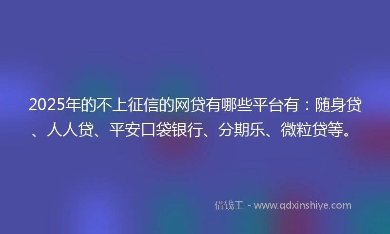 2025年的不上征信的网贷有哪些平台有：随身贷、人人贷、平安口袋银行、分期乐、微粒贷等。