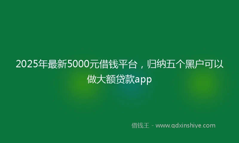2025年最新5000元借钱平台，归纳五个黑户可以做大额贷款app