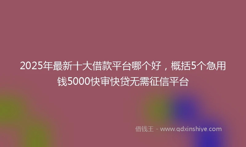 2025年最新十大借款平台哪个好，概括5个急用钱5000快审快贷无需征信平台