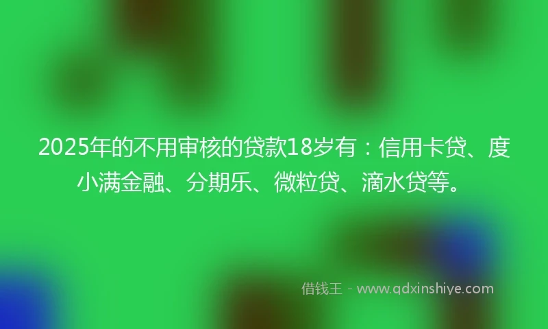 2025年的不用审核的贷款18岁有：信用卡贷、度小满金融、分期乐、微粒贷、滴水贷等。
