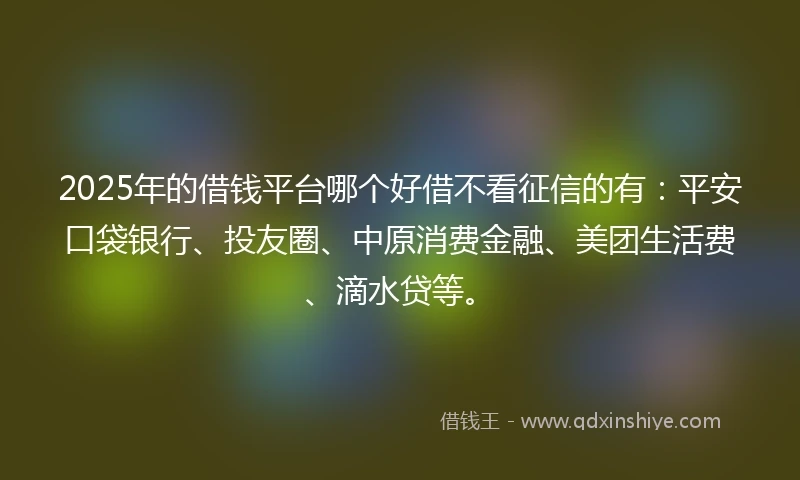 2025年的借钱平台哪个好借不看征信的有：平安口袋银行、投友圈、中原消费金融、美团生活费、滴水贷等。
