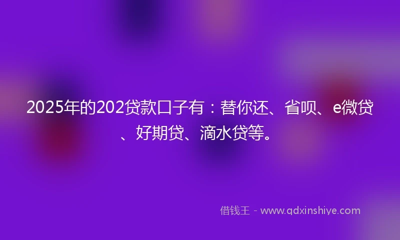 2025年的202贷款口子有：替你还、省呗、e微贷、好期贷、滴水贷等。