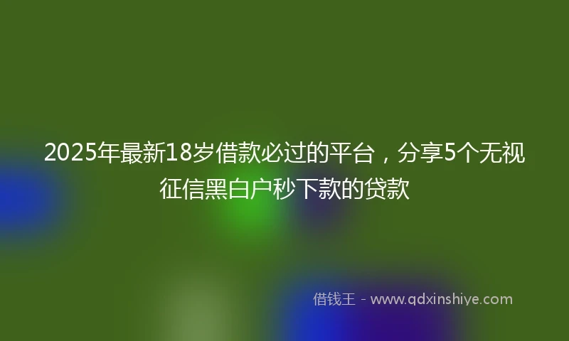 2025年最新18岁借款必过的平台，分享5个无视征信黑白户秒下款的贷款
