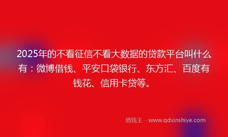 2025年的不看征信不看大数据的贷款平台叫什么有：微博借钱、平安口袋银行、东方汇、百度有钱花、信用卡贷等。