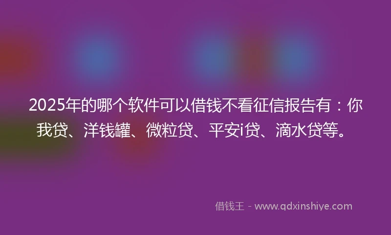 2025年的哪个软件可以借钱不看征信报告有：你我贷、洋钱罐、微粒贷、平安i贷、滴水贷等。