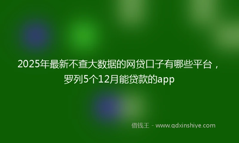 2025年最新不查大数据的网贷口子有哪些平台，罗列5个12月能贷款的app