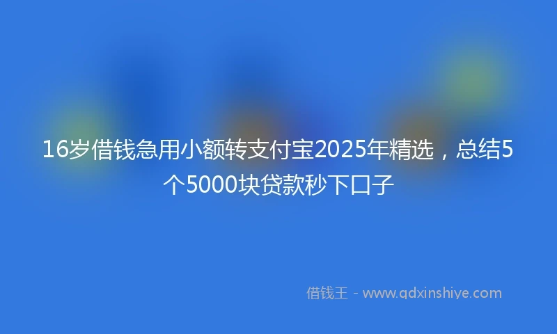 16岁借钱急用小额转支付宝2025年精选，总结5个5000块贷款秒下口子