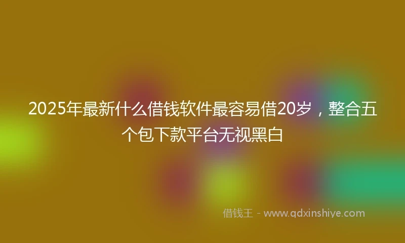 2025年最新什么借钱软件最容易借20岁，整合五个包下款平台无视黑白
