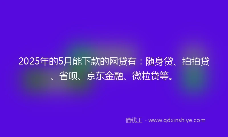 2025年的5月能下款的网贷有：随身贷、拍拍贷、省呗、京东金融、微粒贷等。
