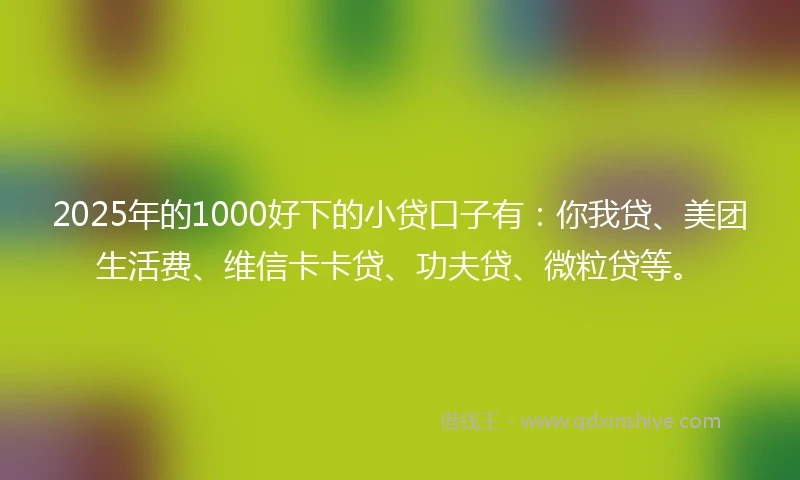 2025年的1000好下的小贷口子有：你我贷、美团生活费、维信卡卡贷、功夫贷、微粒贷等。