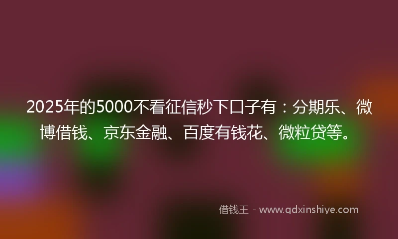 2025年的5000不看征信秒下口子有：分期乐、微博借钱、京东金融、百度有钱花、微粒贷等。
