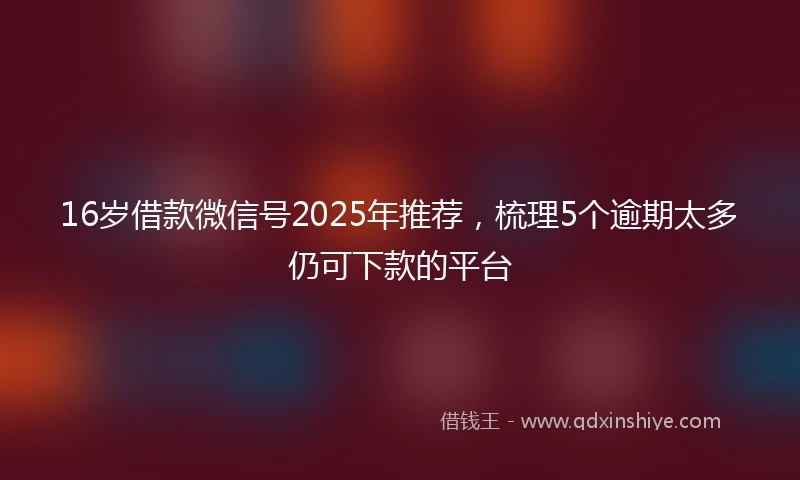 16岁借款微信号2025年推荐，梳理5个逾期太多仍可下款的平台