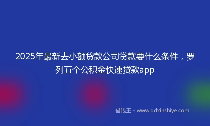 2025年最新去小额贷款公司贷款要什么条件，罗列五个公积金快速贷款app