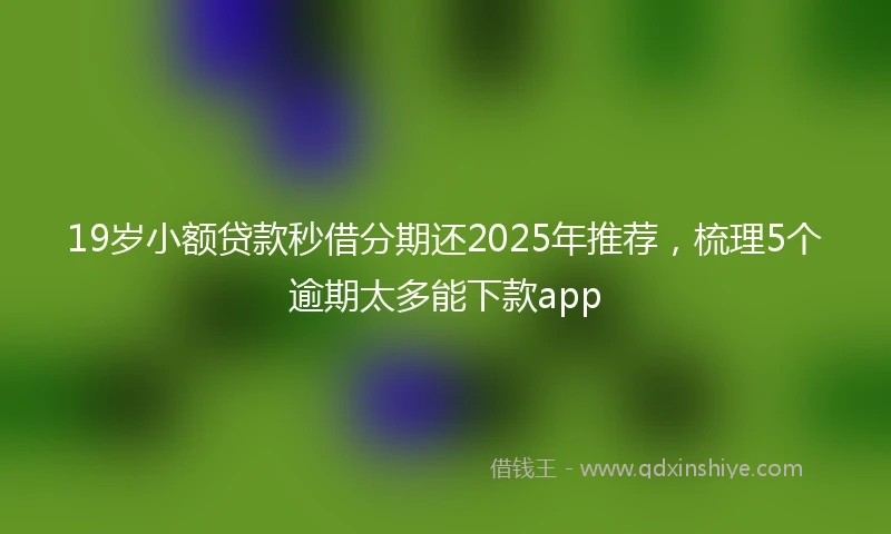 19岁小额贷款秒借分期还2025年推荐，梳理5个逾期太多能下款app