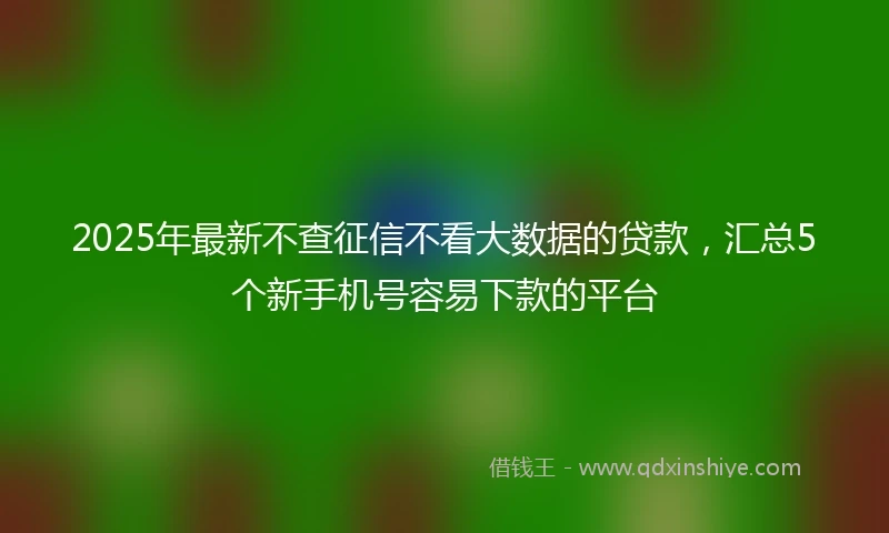 2025年最新不查征信不看大数据的贷款，汇总5个新手机号容易下款的平台