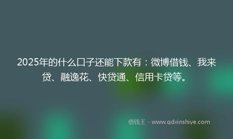 2025年的什么口子还能下款有：微博借钱、我来贷、融逸花、快贷通、信用卡贷等。