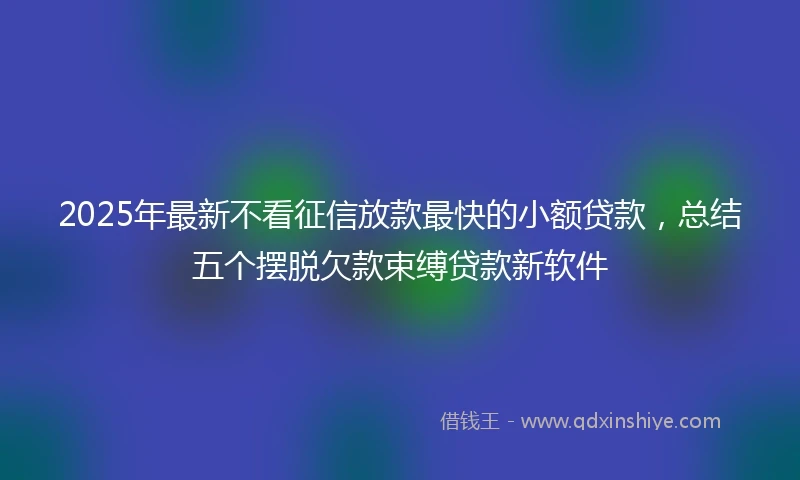 2025年最新不看征信放款最快的小额贷款，总结五个摆脱欠款束缚贷款新软件