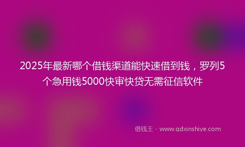 2025年最新哪个借钱渠道能快速借到钱，罗列5个急用钱5000快审快贷无需征信软件
