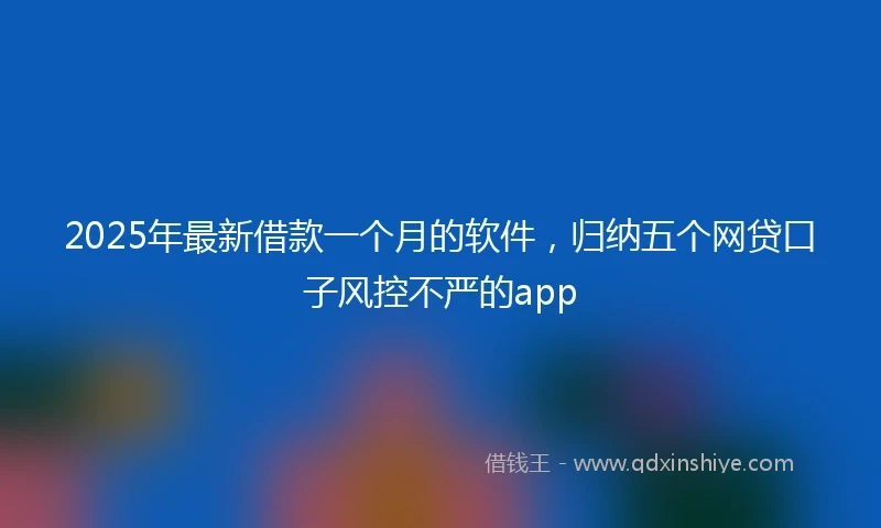 2025年最新借款一个月的软件，归纳五个网贷口子风控不严的app