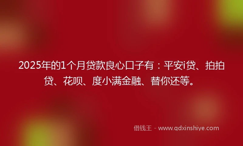 2025年的1个月贷款良心口子有：平安i贷、拍拍贷、花呗、度小满金融、替你还等。