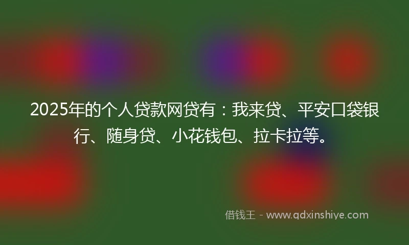 2025年的个人贷款网贷有：我来贷、平安口袋银行、随身贷、小花钱包、拉卡拉等。
