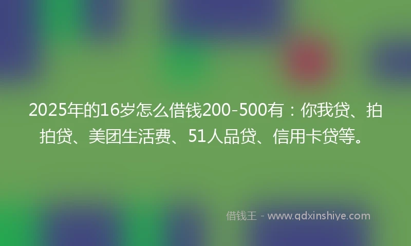 2025年的16岁怎么借钱200-500有：你我贷、拍拍贷、美团生活费、51人品贷、信用卡贷等。