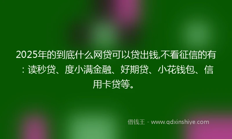 2025年的到底什么网贷可以贷出钱,不看征信的有：读秒贷、度小满金融、好期贷、小花钱包、信用卡贷等。