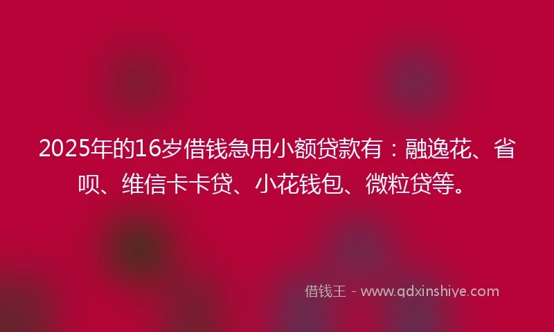 2025年的16岁借钱急用小额贷款有：融逸花、省呗、维信卡卡贷、小花钱包、微粒贷等。