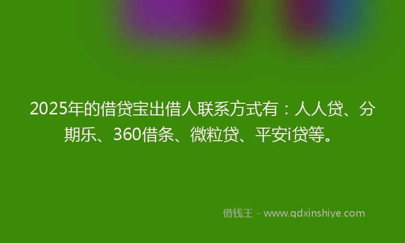 2025年的借贷宝出借人联系方式有：人人贷、分期乐、360借条、微粒贷、平安i贷等。