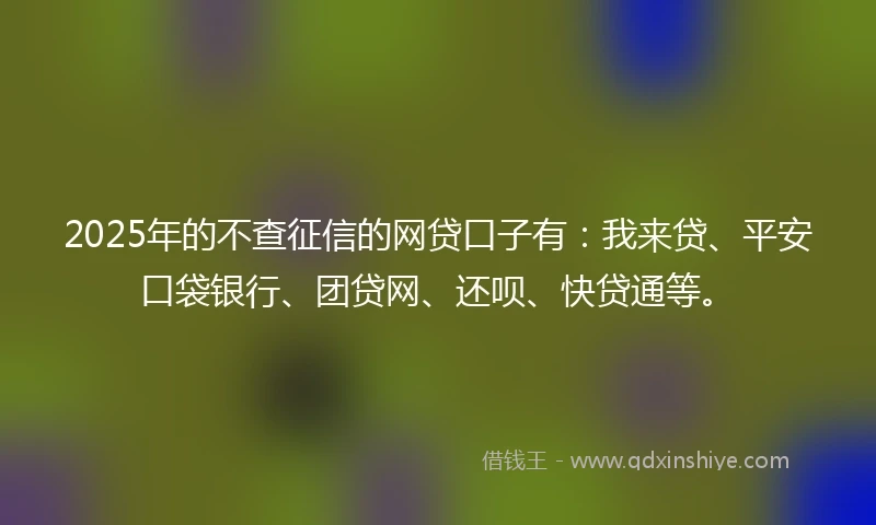 2025年的不查征信的网贷口子有：我来贷、平安口袋银行、团贷网、还呗、快贷通等。