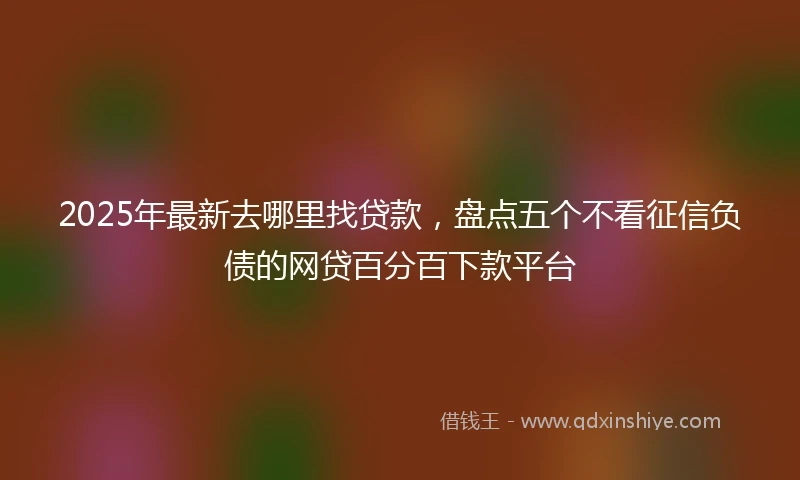 2025年最新去哪里找贷款，盘点五个不看征信负债的网贷百分百下款平台