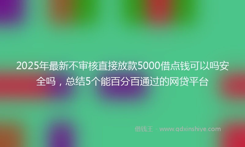 2025年最新不审核直接放款5000借点钱可以吗安全吗，总结5个能百分百通过的网贷平台