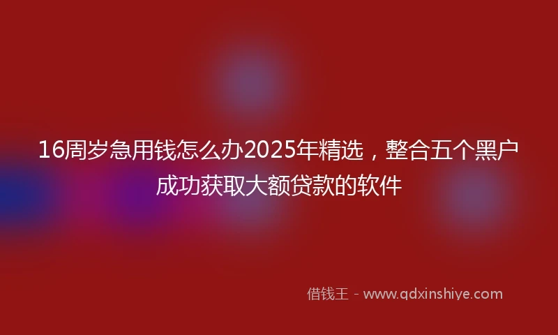 16周岁急用钱怎么办2025年精选，整合五个黑户成功获取大额贷款的软件