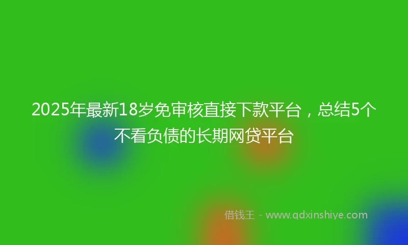 2025年最新18岁免审核直接下款平台，总结5个不看负债的长期网贷平台