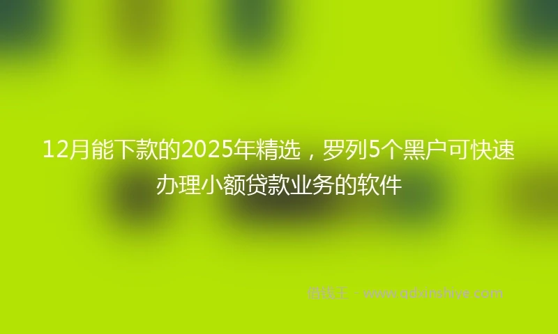 12月能下款的2025年精选，罗列5个黑户可快速办理小额贷款业务的软件