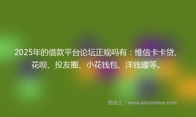 2025年的借款平台论坛正规吗有：维信卡卡贷、花呗、投友圈、小花钱包、洋钱罐等。