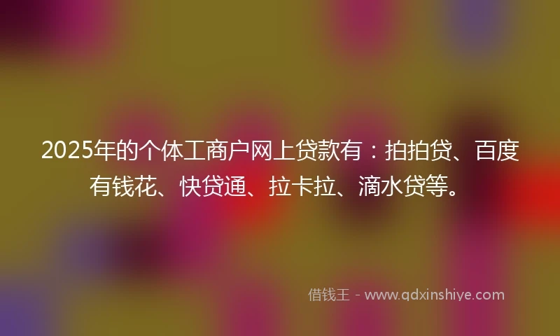 2025年的个体工商户网上贷款有：拍拍贷、百度有钱花、快贷通、拉卡拉、滴水贷等。