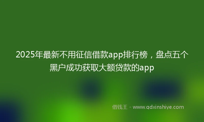 2025年最新不用征信借款app排行榜，盘点五个黑户成功获取大额贷款的app