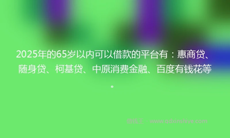 2025年的65岁以内可以借款的平台有：惠商贷、随身贷、柯基贷、中原消费金融、百度有钱花等。