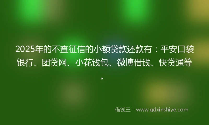 2025年的不查征信的小额贷款还款有：平安口袋银行、团贷网、小花钱包、微博借钱、快贷通等。