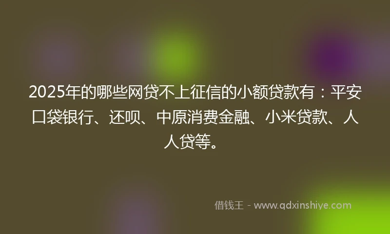 2025年的哪些网贷不上征信的小额贷款有：平安口袋银行、还呗、中原消费金融、小米贷款、人人贷等。