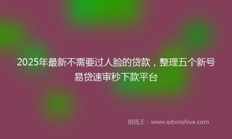 2025年最新不需要过人脸的贷款，整理五个新号易贷速审秒下款平台