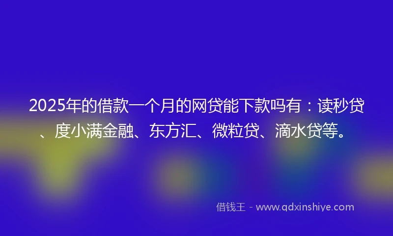 2025年的借款一个月的网贷能下款吗有：读秒贷、度小满金融、东方汇、微粒贷、滴水贷等。