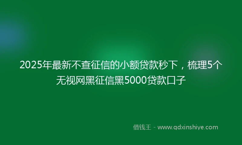 2025年最新不查征信的小额贷款秒下，梳理5个无视网黑征信黑5000贷款口子