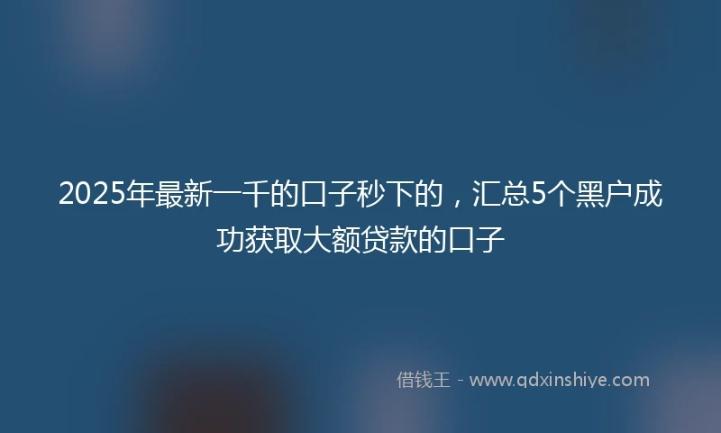 2025年最新一千的口子秒下的，汇总5个黑户成功获取大额贷款的口子