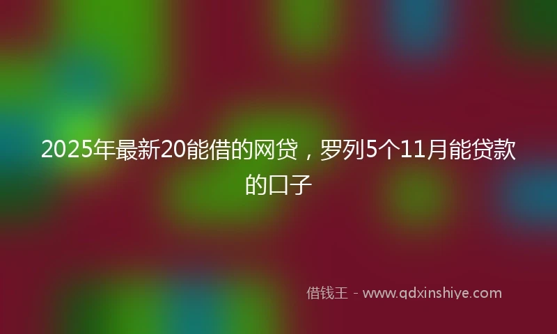 2025年最新20能借的网贷，罗列5个11月能贷款的口子