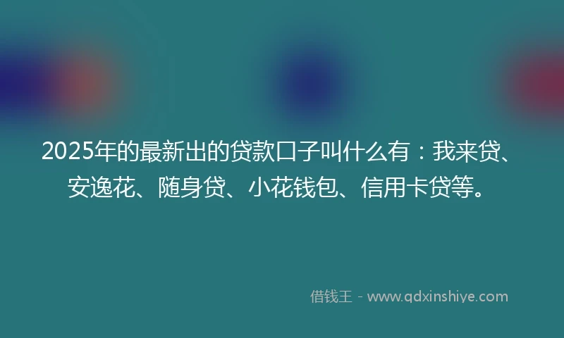 2025年的最新出的贷款口子叫什么有：我来贷、安逸花、随身贷、小花钱包、信用卡贷等。